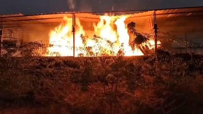 Timber depot gutted near Vaniyambadi town in Tirupattur