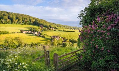 ‘I strolled among lovely Lent lilies, wild garlic and beautiful bluebells’: readers’ favourite spring walks in the UK