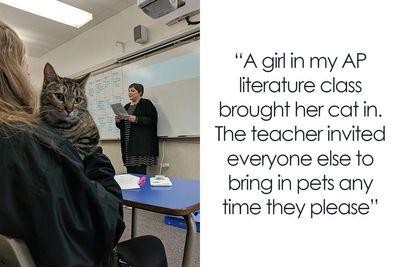 50 Times Teachers And Professors Acted So Wholesomely, Their Students Just Had To Share The Pics (New Pics)