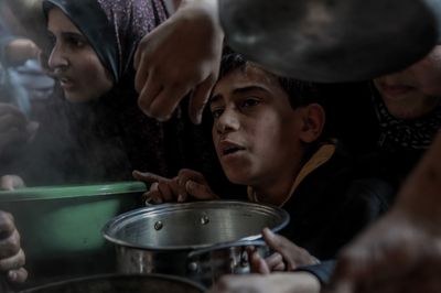 Boiling weeds, eating animal feed: People in Gaza stave off hunger any way they can
