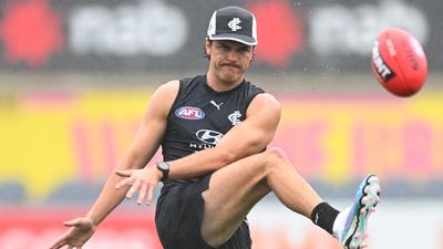 Carlton recruit Hollands 'humbled' by Blues support