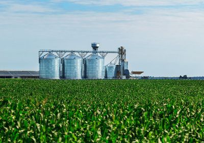 What The USDA Prospective Plantings Report Means For Grains