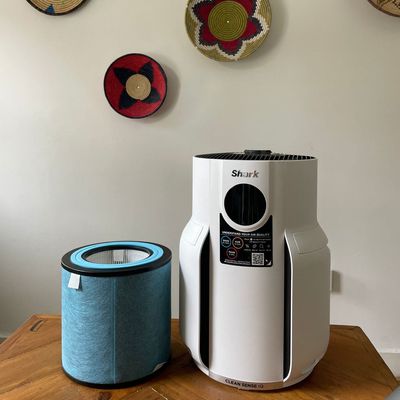 Can an air purifier help with hay fever and allergies? Experts reveal whether they can reduce pollen, dust and pet dander levels in your home