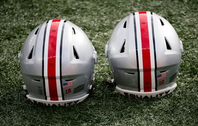 Former Ohio State football coach earns new job