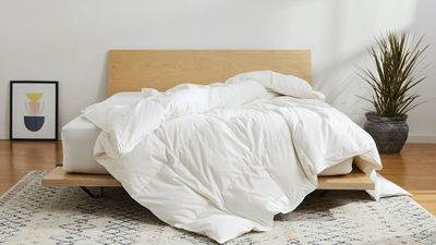 I'd recommend the Brooklinen Down Comforter to (almost) anyone – here's how reviewing this lightweight layer went