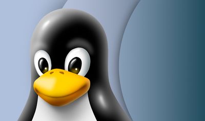 An ancient Linux flaw might be opening up users to dangerous cyberattacks