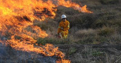 Road closed due to north Canberra bushfire