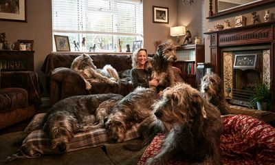 ‘We have five in our bed – any more and I wouldn’t sleep!’: meet the extreme dog owners
