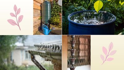 Rainwater harvesting – 5 clever ways to nurture your garden whilst cutting costs