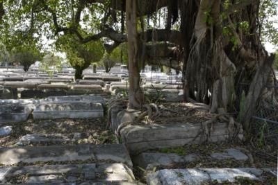 Historic Black Cemetery Neglected, Descendants Fight For Preservation