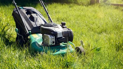 Why won't my lawnmower start? 3 easy fixes from lawn care experts