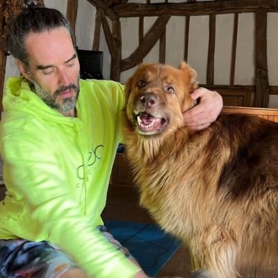 Russell Brand's Heartwarming Moment With Beloved Dog