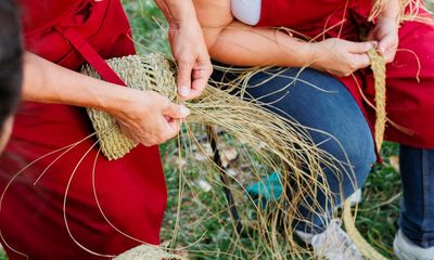 ‘It’s a worldly thing’: the ancient, multi-stranded craft of weaving baskets