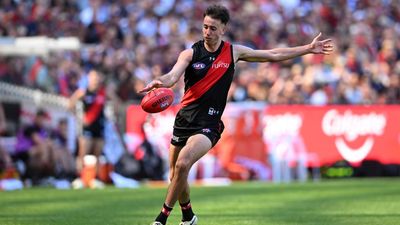 Move to half-back has Essendon's Mr Fix-It in great Nic