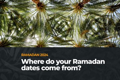 Ramadan 2024: Where do your dates come from?