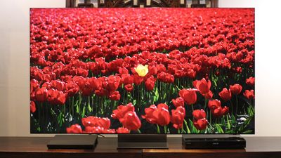 Samsung QN900D review: an 8K picture powerhouse