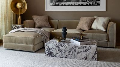 How to Style Your Rectangular Coffee Table Like an Interior Designer