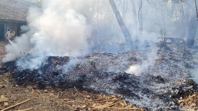 Fires break out in wooded areas of Kadugodi and Jnanabharathi campus