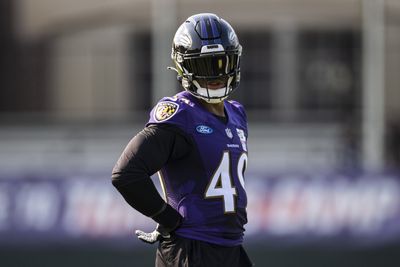 John Harbaugh excited to have Chris Board back with Ravens