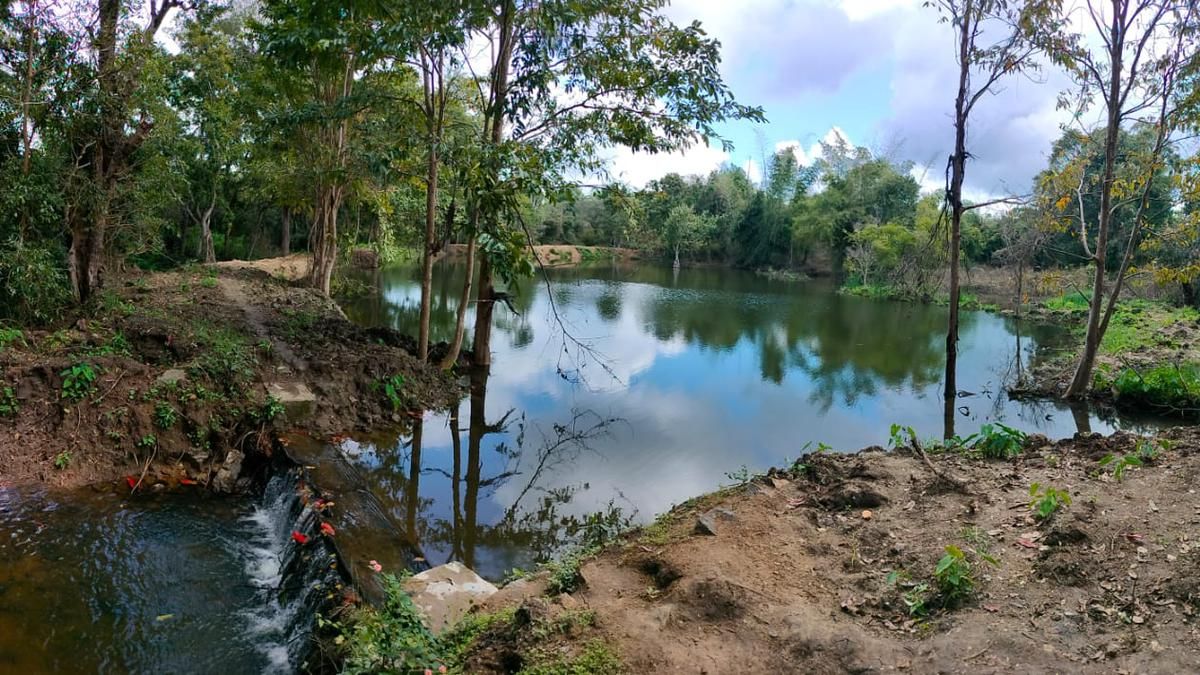 Water in percolation ponds, check dams vital for wild…