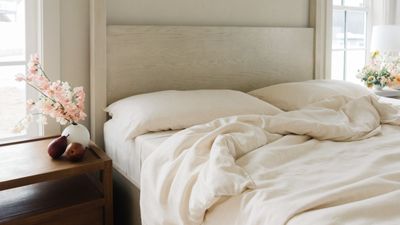 Beg or borrow (maybe don't steal) to secure Cozy Earth's luxury bamboo bedding set