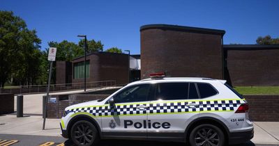 Woman to front court after allegedly committing assault, stealing dog