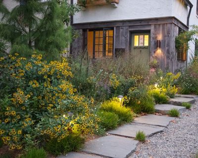 "Naturalistic Planting" is the Trend Landscape Designers Swear by for Yards That Feel Soft, Pretty and Welcoming