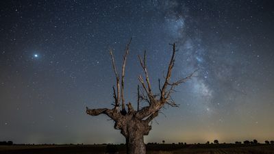 The brightest planets in May's night sky: How to see them (and when)