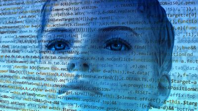 A New York business chatbot is sending out some particularly bad information