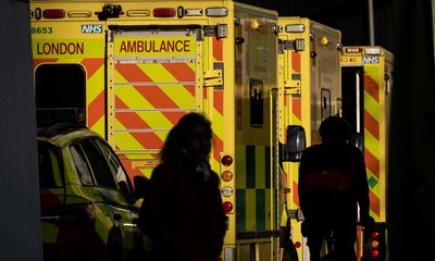 The Guardian view on A&E waiting times: a warning from emergency doctors