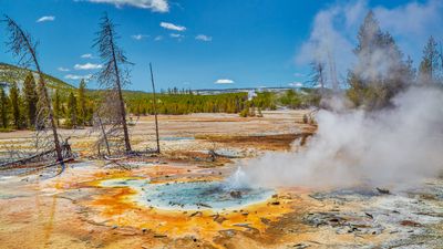 Tourists caught dangling makeshift thermometer over Yellowstone geyser that was 'killed' by careless visitors