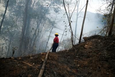 Venezuela Faces Record Wildfires Amid Amazon Drought
