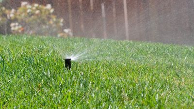 When to start watering a lawn in spring – and 4 expert tips to help you make effective decisions