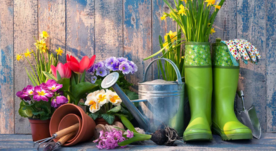 Gardening jobs for April: 10 tasks to give your garden a good spring clean