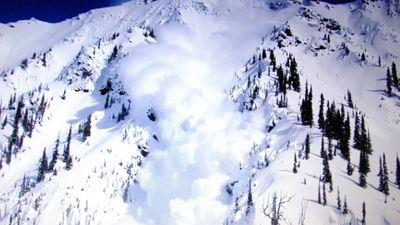 How did a Colorado skier survive being swept 2,000 feet down mountainside in avalanche?