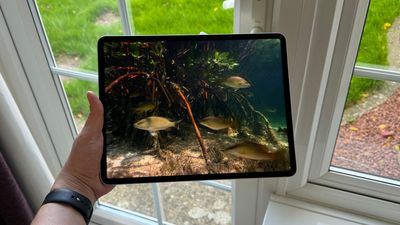 Apple's first OLED iPad could be unveiled in May