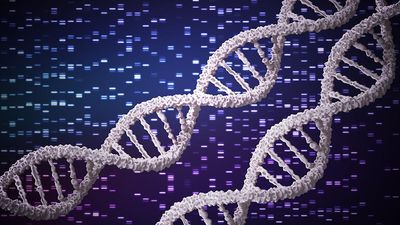 ‘Underwhelming Indian genomics research, and gatekeeping’