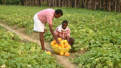 The hardwork behind perfect ‘Kani Vellari’