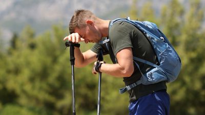 Vomiting bug strikes down thru-hikers on Appalachian Trail