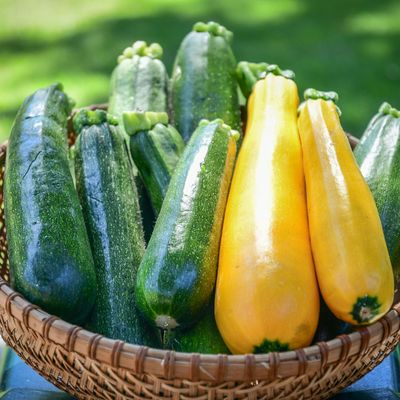 How to grow courgettes for a budget-friendly (and incredibly tasty) crop