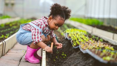 Is playing in the dirt good for kids' immune systems?