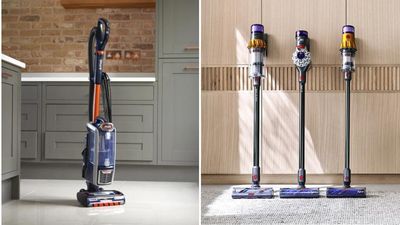 Shark vs. Dyson: which vacuum sucks up the competition?