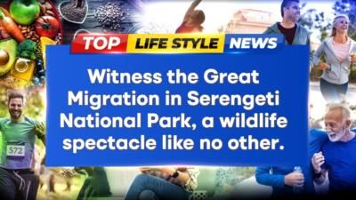 Exploring Nature's Best: Top 10 Wildlife Sanctuaries