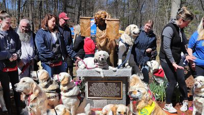Statue revealed of Boston Marathon’s legendary 'official' dog, Spencer