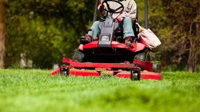 Riding mower vs push mower – which is best for you and your lawn?