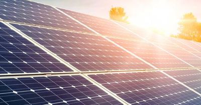 Solar panel subsidies need stringent oversight