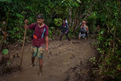 Colombia and Panama failing to protect migrants in Darien Gap: HRW
