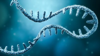 New mRNA therapy shows promise in treating 'ultrarare' inherited disease