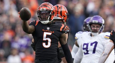 Panthers still considered a top landing spot for Bengals WR Tee Higgins