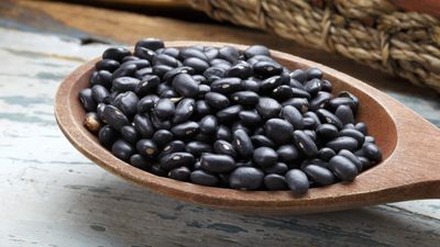 How to grow black beans – expert tips to cultivate the sun-loving crop from seed successfully
